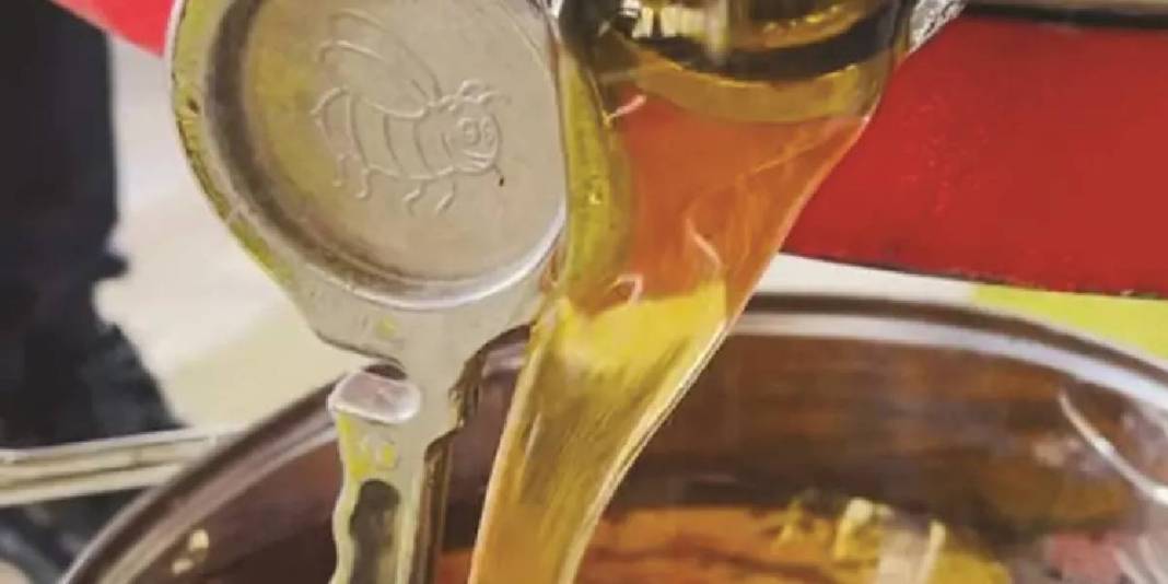 Kilosu 1.500 TL’den satılıyor! Cep dolduran hasat başladı 1